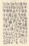 General (No. 21380031)