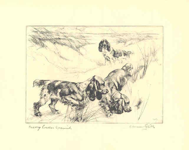 Merry Cocker Spaniels