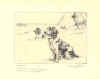 Spaniel (No. 30290010)