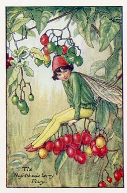 Nightshade Berry Fairy