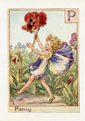 Flower Fairy Print - Pansy (No. 70780016)